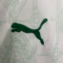 Kit infantil Palmeiras 25/26