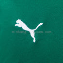 Camisa Palmeiras l 26/27